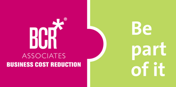 Business Cost Reduction Associates Franchise - Profit Improvement Franchise