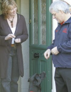 Oscar Franchise - pet food delivery