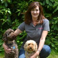 PetStay Business | Dog Sitting Franchise PetStay Business | Dog Sitting Franchise