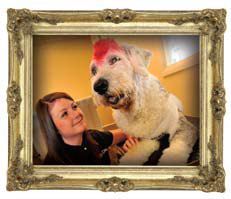 Snobby Dogs Franchise - Pet Grooming Franchise