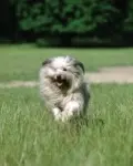 SUMMERTIME
