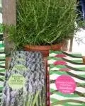 &ldquo;�SUPER BOOK.� SAYS HUGH FEARNLEY WHITTINGSTALL.