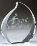 Activ Web Design Franchise Nominated For Award