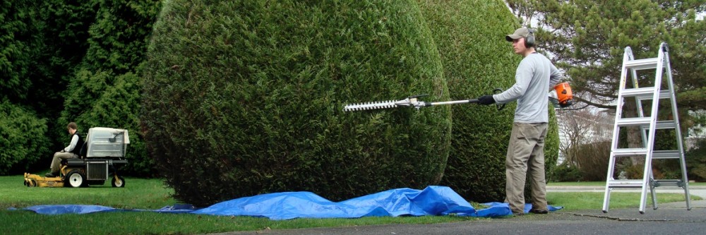 Lawns and Garden Franchises and Business Opportunities