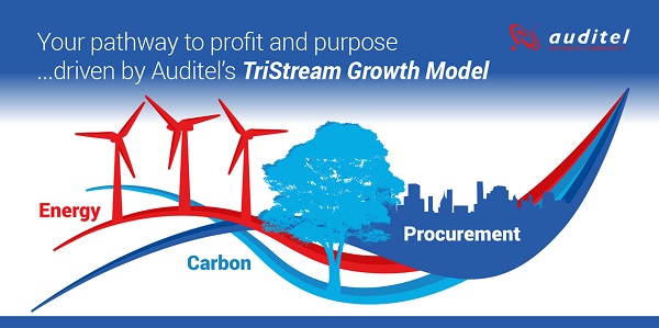 Procurement Franchise | Auditel Franchise