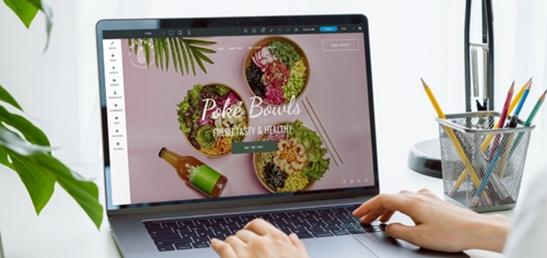 Eazi-Sites Business | Website Sales Franchise