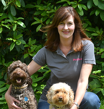 PetStay Business | Dog Sitting Franchise PetStay Business | Dog Sitting Franchise