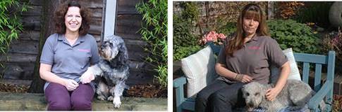PetStay Business | Dog Sitting Franchise PetStay Business | Dog Sitting Franchise