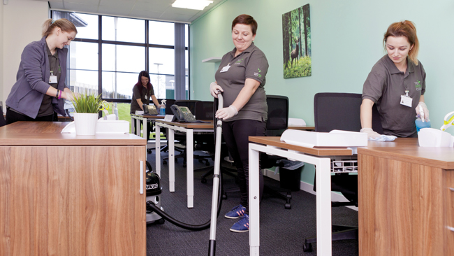 Tidy Green Clean Management Franchise | Commercial Cleaning Business Tidy Green Clean Management Franchise | Commercial Cleaning Business