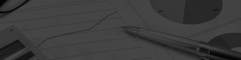 Top Choice Accountants Franchise Special Features