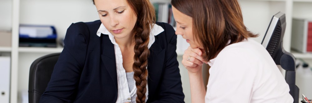Regional (Master) Business Franchise Opportunities
